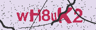 Captcha認証コード