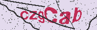 Captcha認証コード